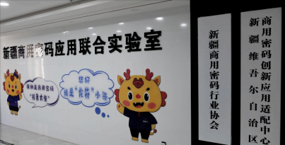 最快仅需20分钟，，“华西造”3D-HSP打印系统进驻新疆